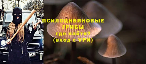 mdpv Липки